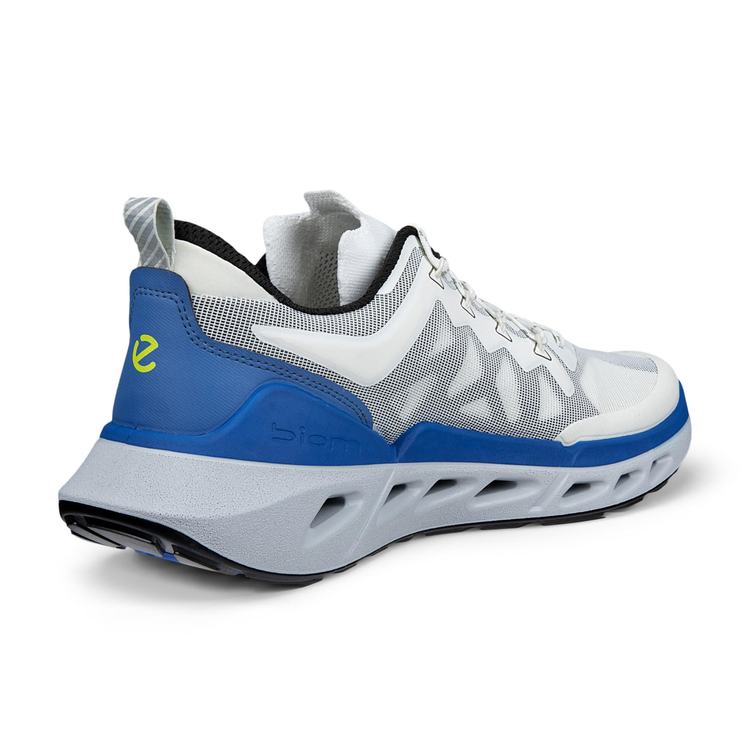Кроссовки ECCO BIOM 720 M 850314/61647