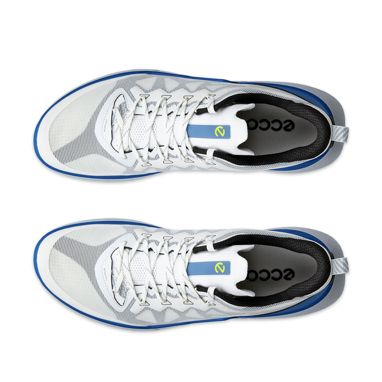 Кроссовки ECCO BIOM 720 M 850314/61647