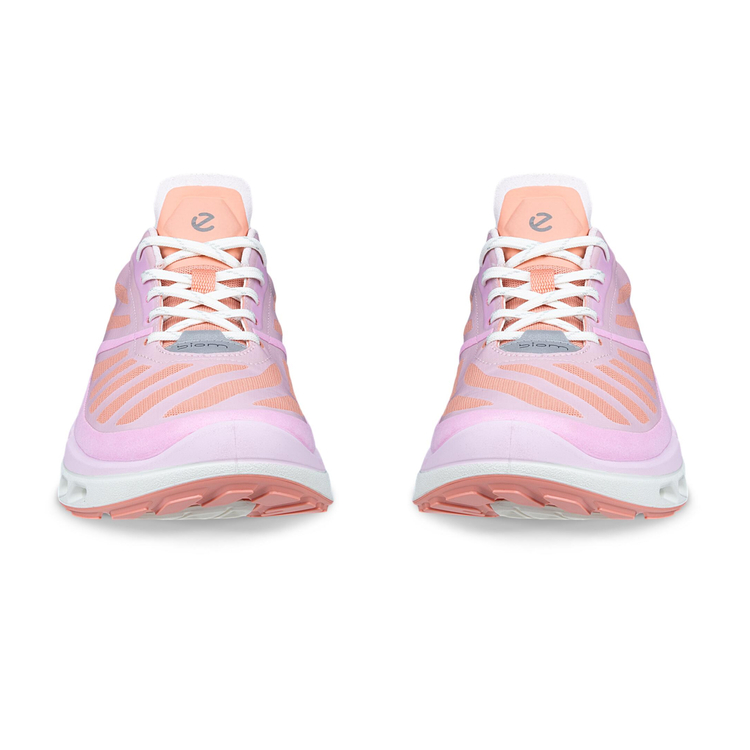 Кроссовки ECCO BIOM 720 W 850333/61629