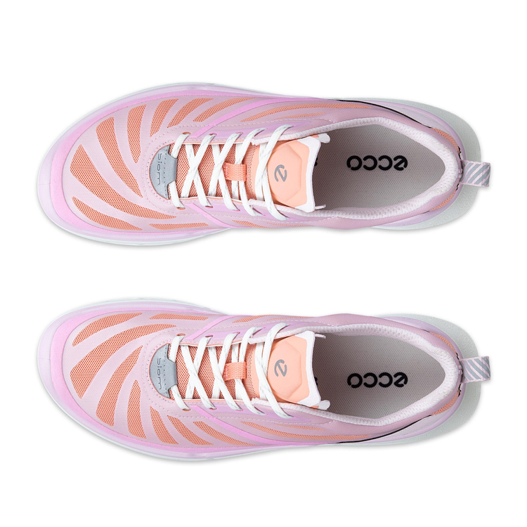 Кроссовки ECCO BIOM 720 W 850333/61629