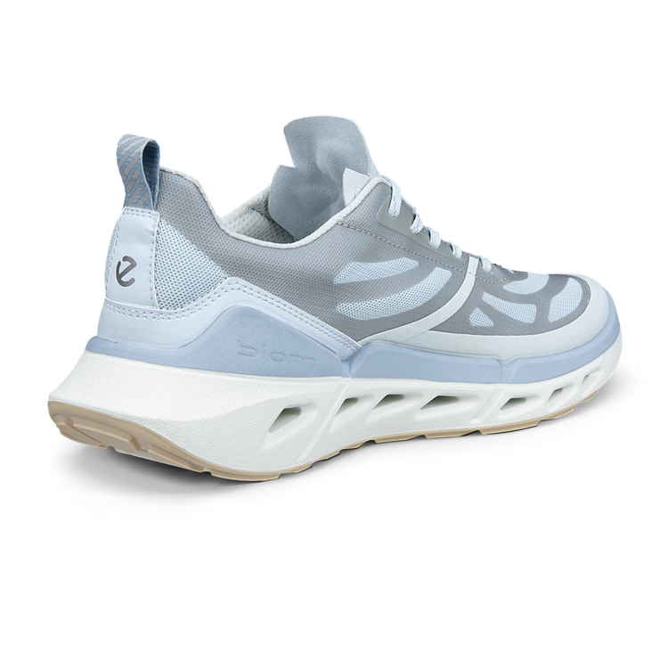 Кроссовки ECCO BIOM 720 W 850333/61683