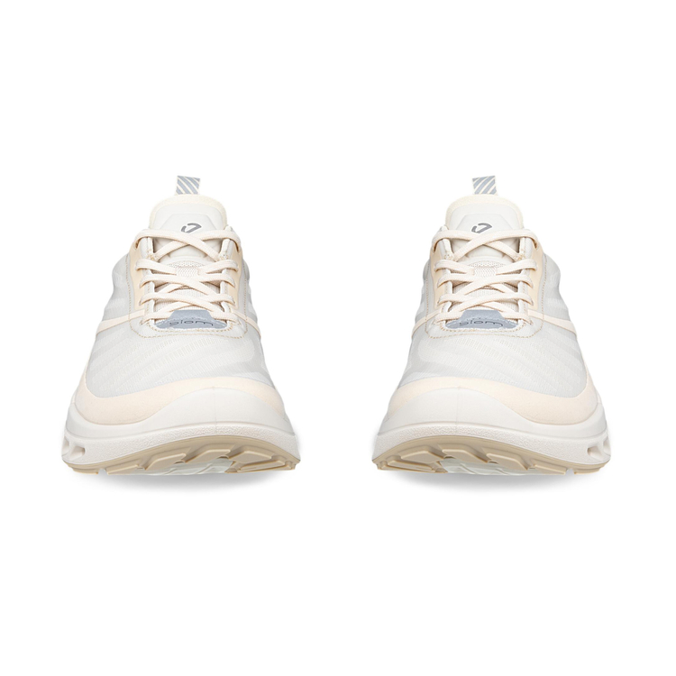 Кроссовки ECCO BIOM 720 W 850333/61684