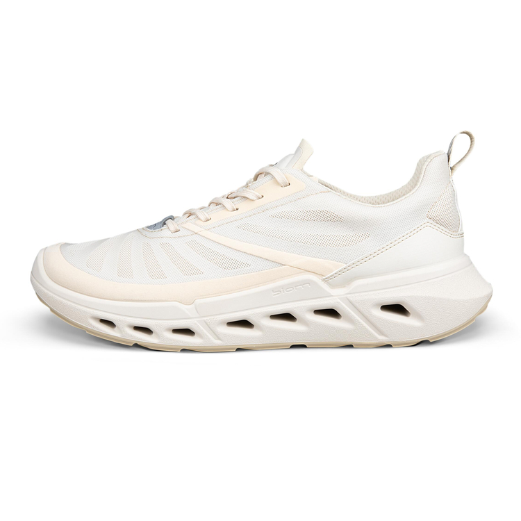 Кроссовки ECCO BIOM 720 W 850333/61684