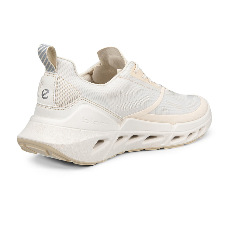 Кроссовки ECCO BIOM 720 W 850333/61684