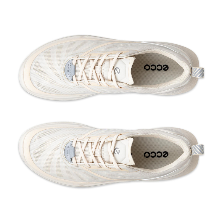 Кроссовки ECCO BIOM 720 W 850333/61684