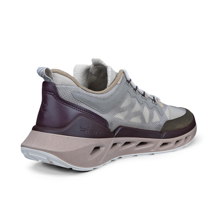 Кроссовки ECCO BIOM 720 W 850373/61754