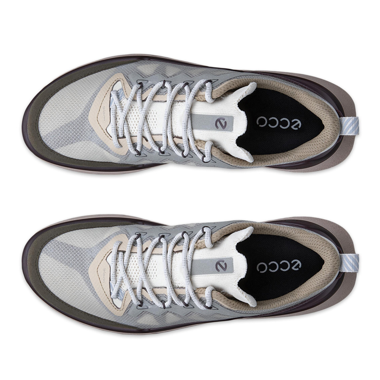 Кроссовки ECCO BIOM 720 W 850373/61754