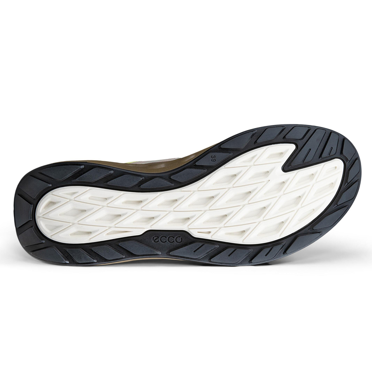 Кроссовки ECCO BIOM 720 W 850373/61756