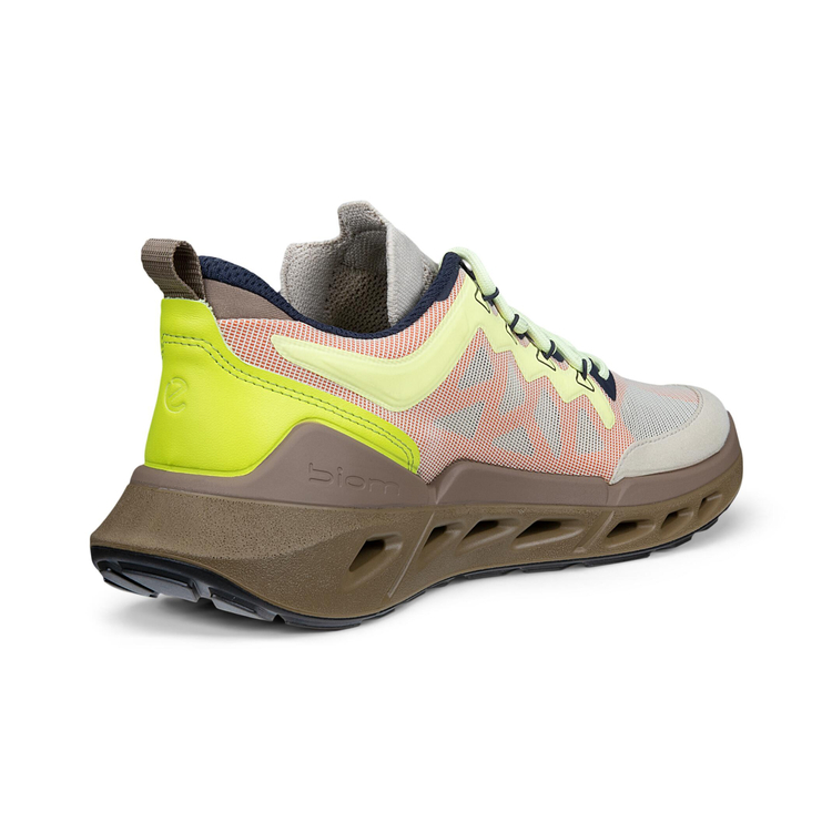 Кроссовки ECCO BIOM 720 W 850373/61756