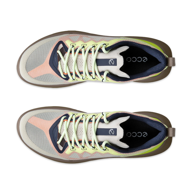 Кроссовки ECCO BIOM 720 W 850373/61756