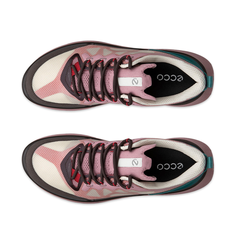 Кроссовки ECCO BIOM 720 W 850373/61758