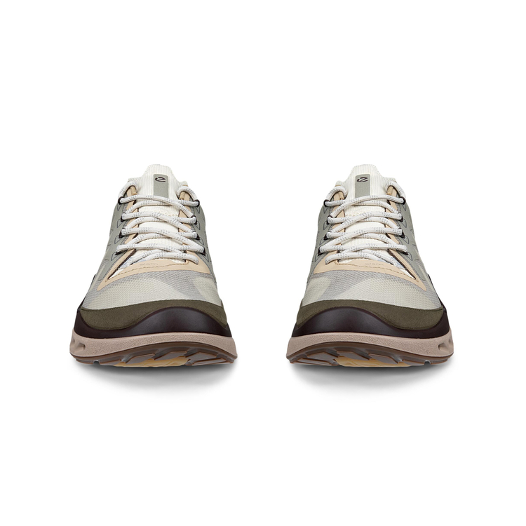 Кроссовки ECCO BIOM 720 M 850374/61754