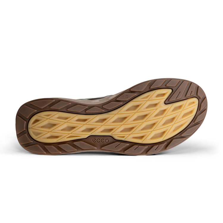 Кроссовки ECCO BIOM 720 M 850374/61754