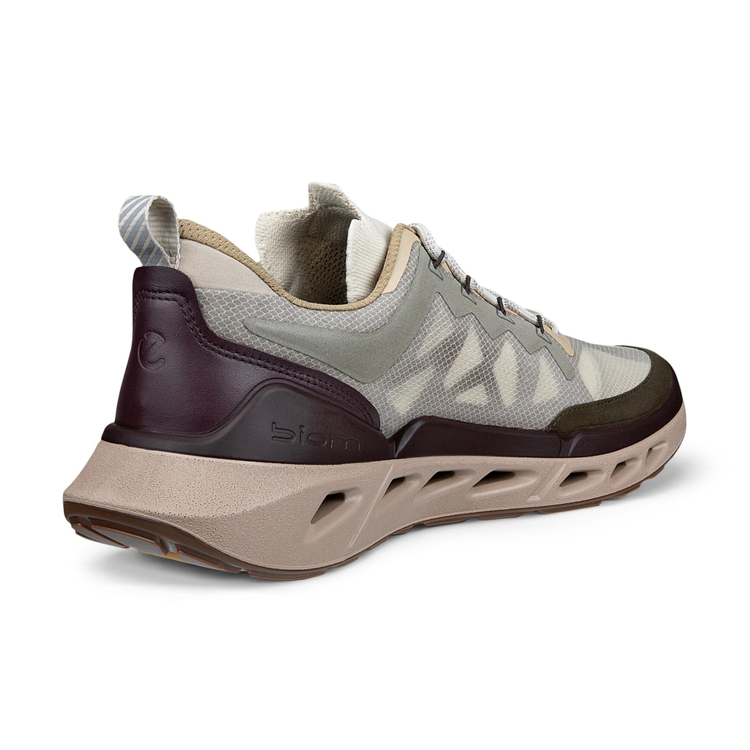 Кроссовки ECCO BIOM 720 M 850374/61754