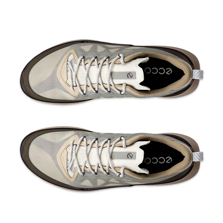 Кроссовки ECCO BIOM 720 M 850374/61754