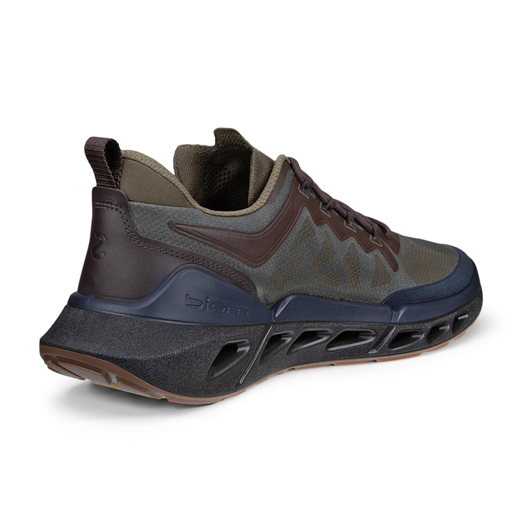 Кроссовки ECCO BIOM 720 M 850374/61755