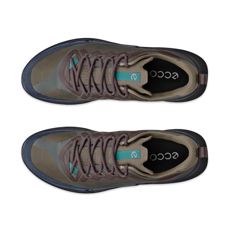 Кроссовки ECCO BIOM 720 M 850374/61755