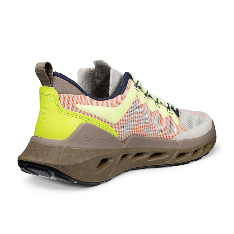 Кроссовки ECCO BIOM 720 M 850374/61756