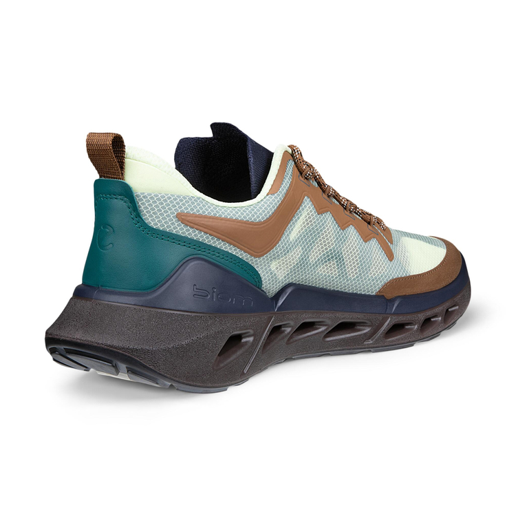 Кроссовки ECCO BIOM 720 M 850374/61757