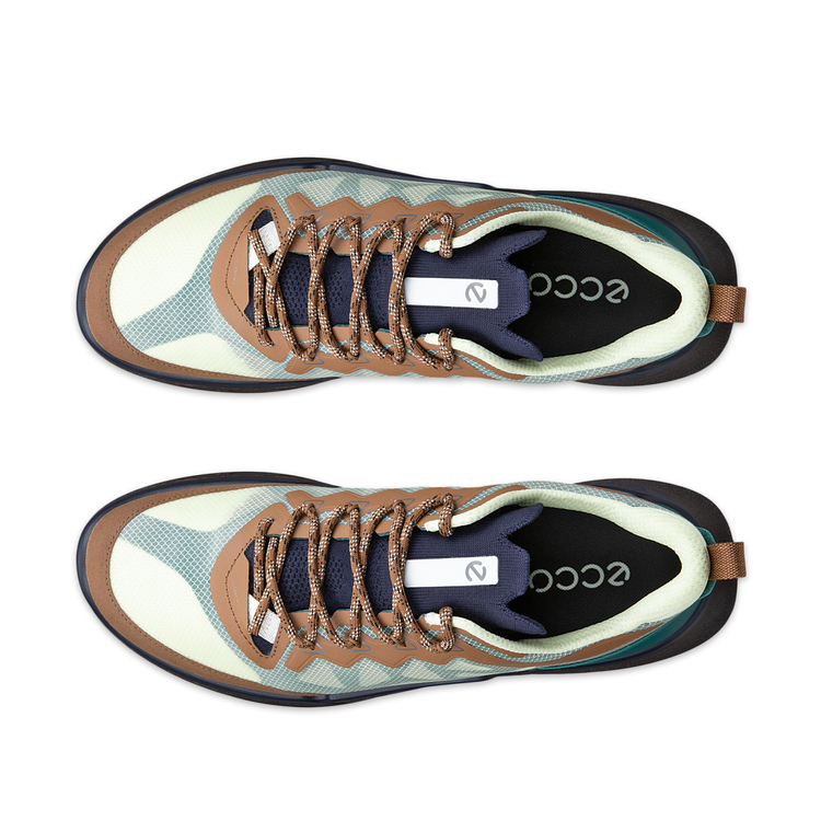 Кроссовки ECCO BIOM 720 M 850374/61757