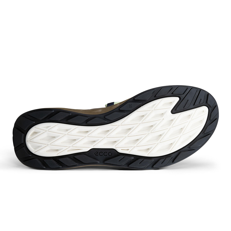 Кроссовки ECCO BIOM 720 W 850383/61759
