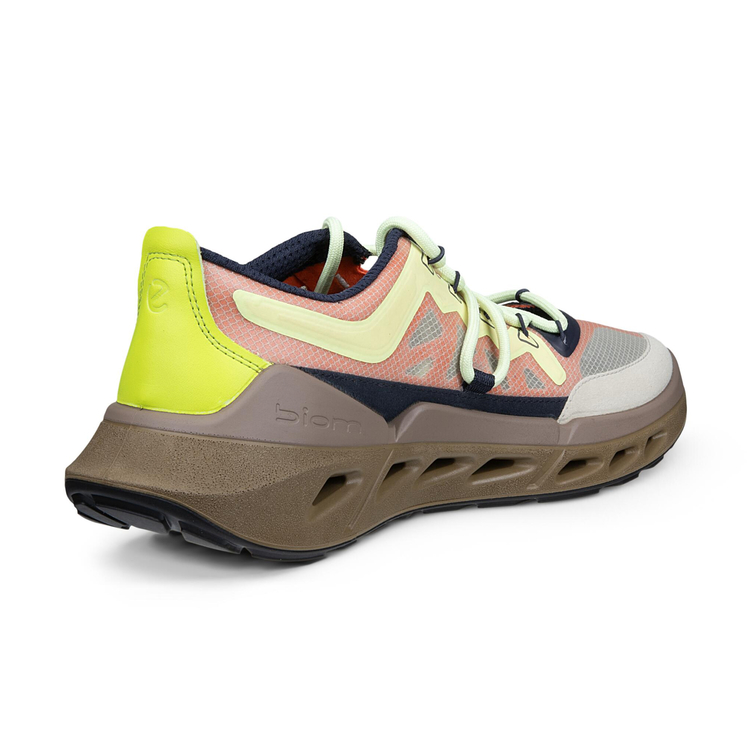 Кроссовки ECCO BIOM 720 W 850383/61759