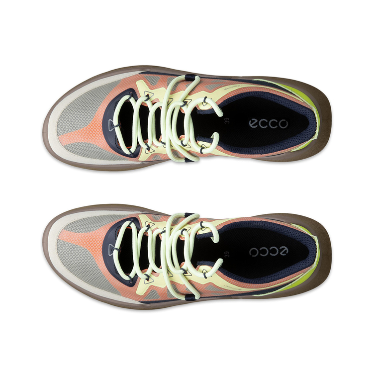 Кроссовки ECCO BIOM 720 W 850383/61759