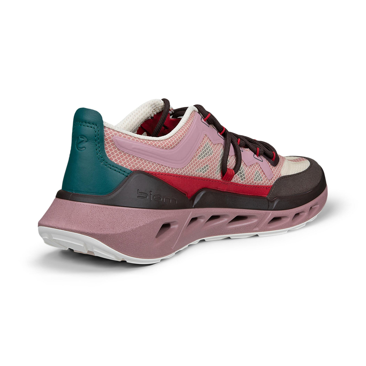 Кроссовки ECCO BIOM 720 W 850383/61760