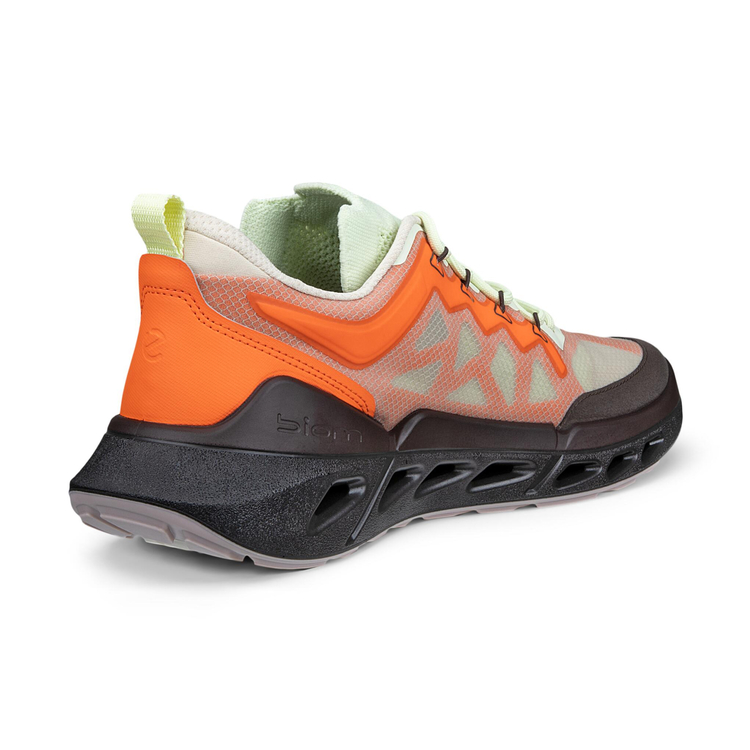 Кроссовки ECCO BIOM 720 W 850393/61761