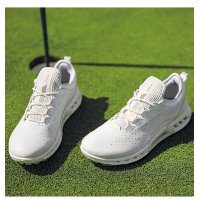 Кроссовки ECCO M GOLF BIOM C4 130404/01007 — купить по цене 32540